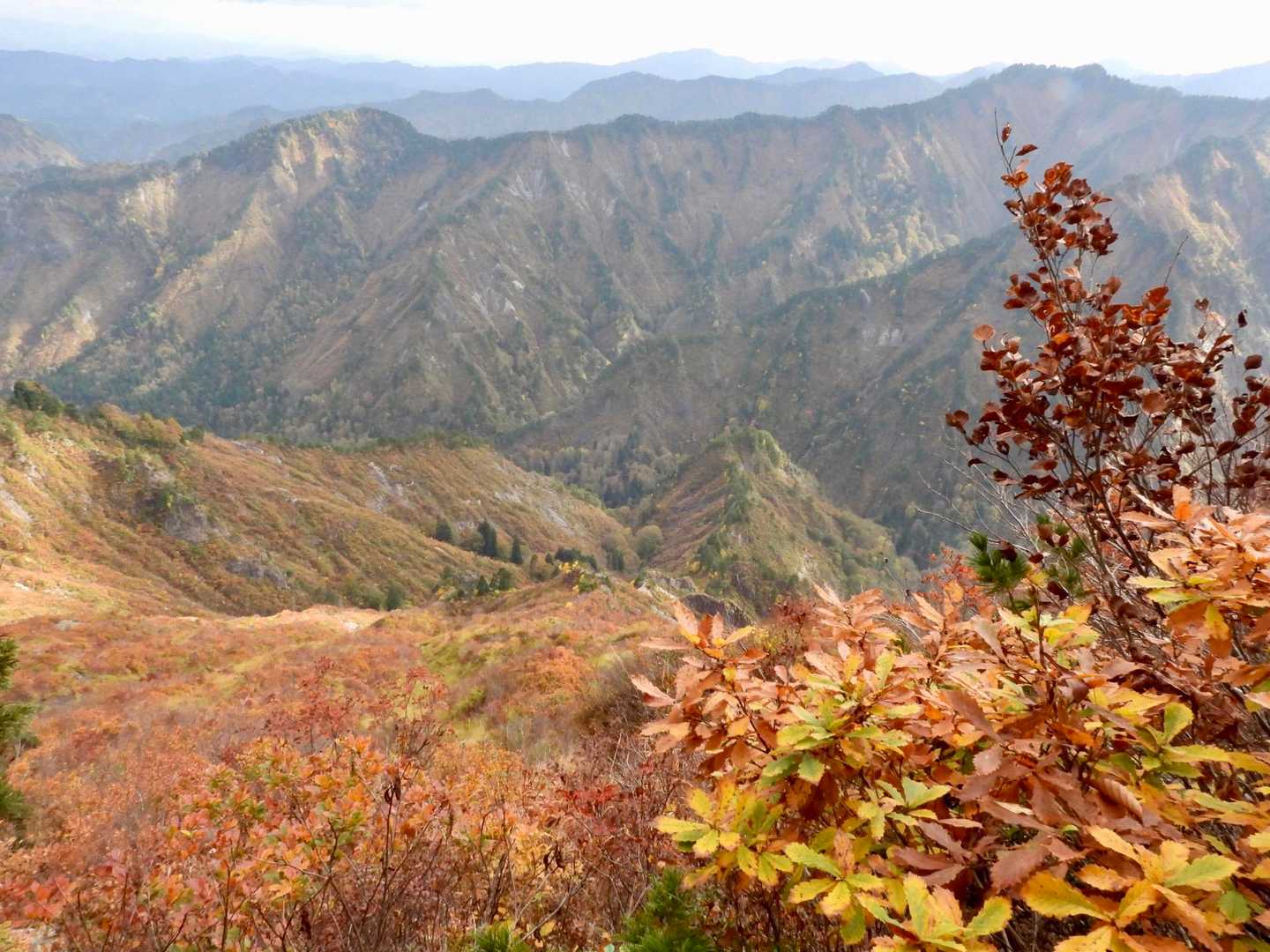 周りが開けてきました。