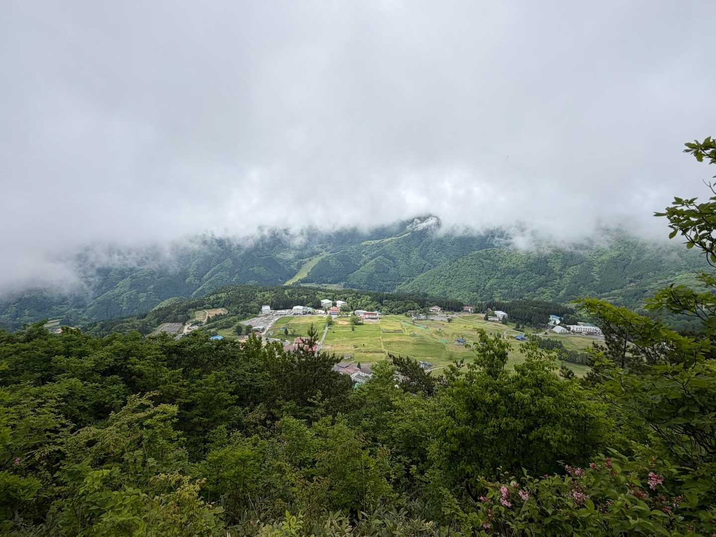鉢伏山ぐるっと周回コースの写真