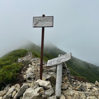 画像の枚数が少ないのにもう山頂なのは、
スマホ取り出すヒマがなかったのと景色がぜんぜんなかったためです

途中、ガスが濃すぎて雨になり
笹薮はガスでべっちゃべちゃ、歩くほどにズボンびしょ濡れで、
カッパズボンで来ればよかったと思いました
靴もぐっしょりで重いし😭