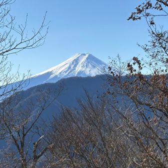 山頂からの富士山🗻

今年もいろんなところから見たいですね😊

