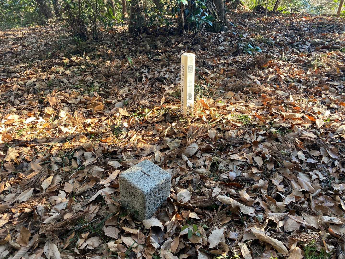 四等三角点「幣山」標高225.66m。ものすごくわかりにくい場所にあります。