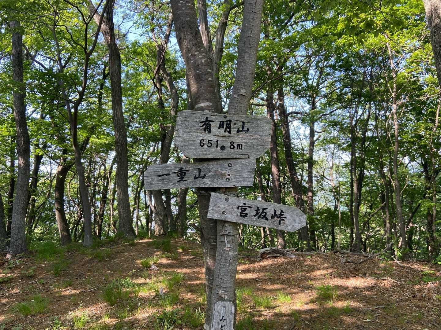 有明山山頂