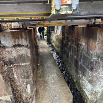 足柄駅直前で突然、線路の下を
くぐる道が！こんなの初めて😆