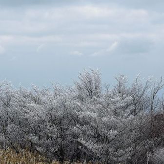 山頂付近の景色1