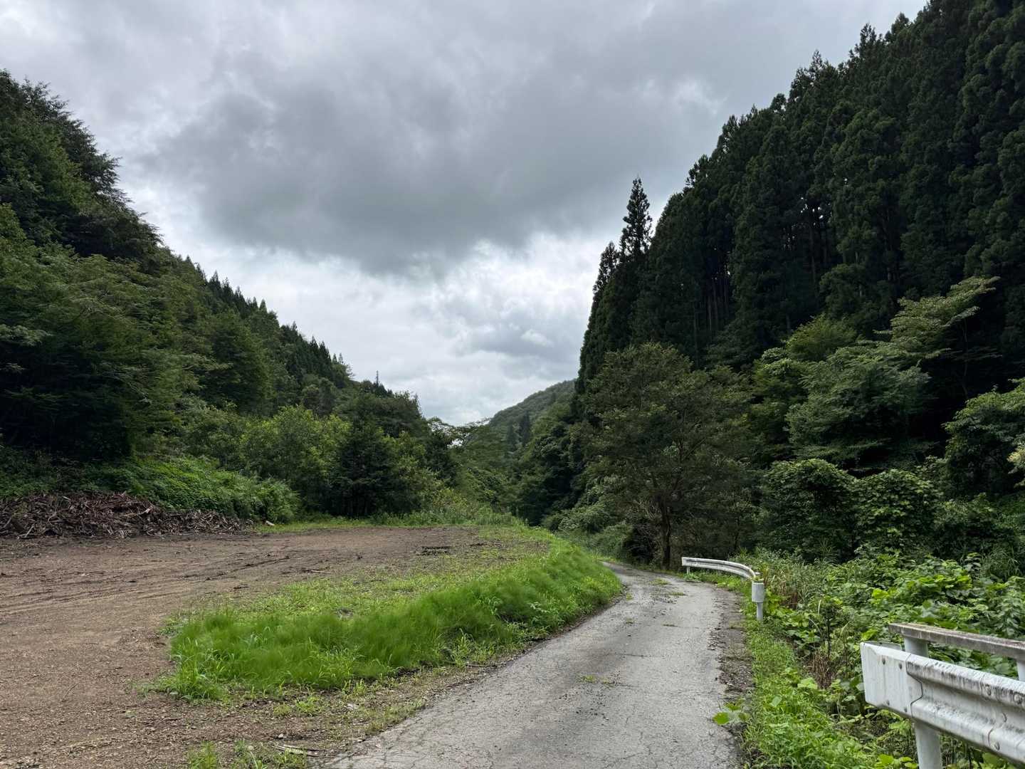 尺丈山 周回コースの写真