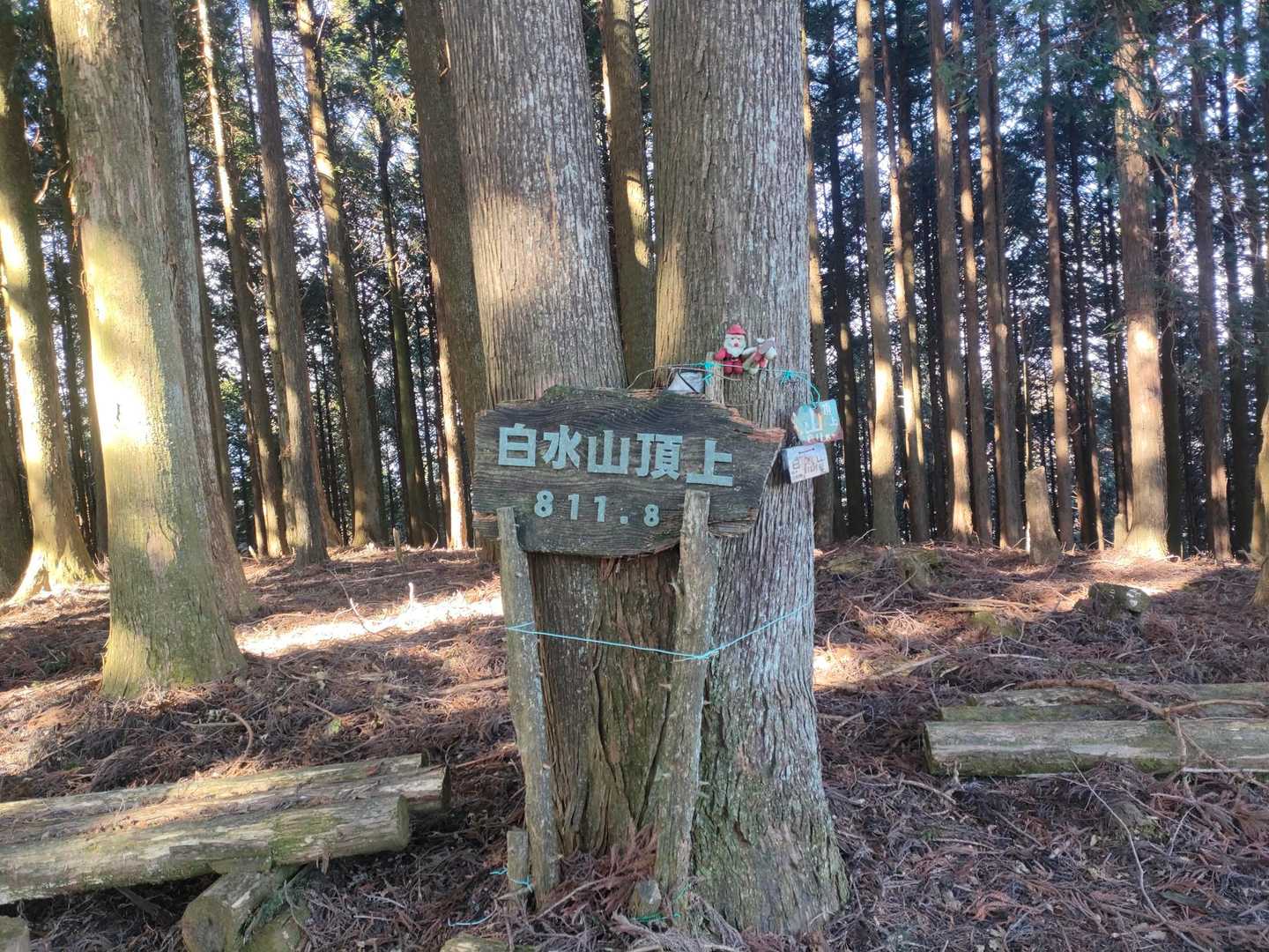 白水山-石神峠 周回コースの写真