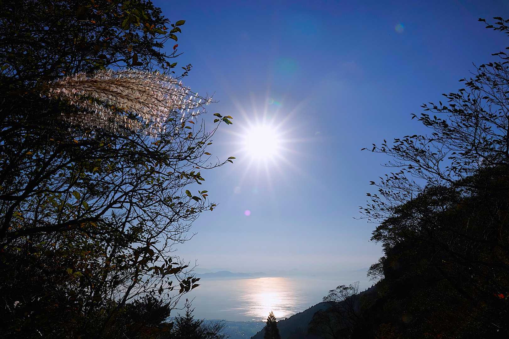 琵琶湖✨✨