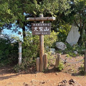 マイホームマウンテン⛰️
天覧山山頂195m🤠
今日登るはずだった入笠山1955mのちょうど10分の1や〜🤣🤣🤣