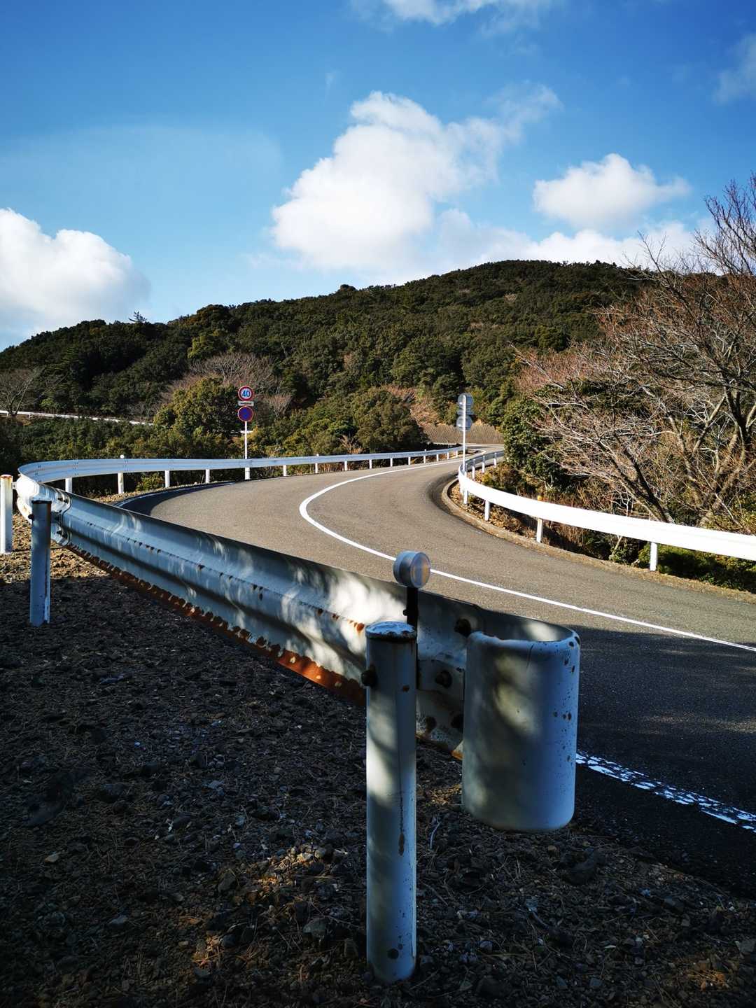 スカイラインへ出てしまいました。この先で再び登山道へ戻ります