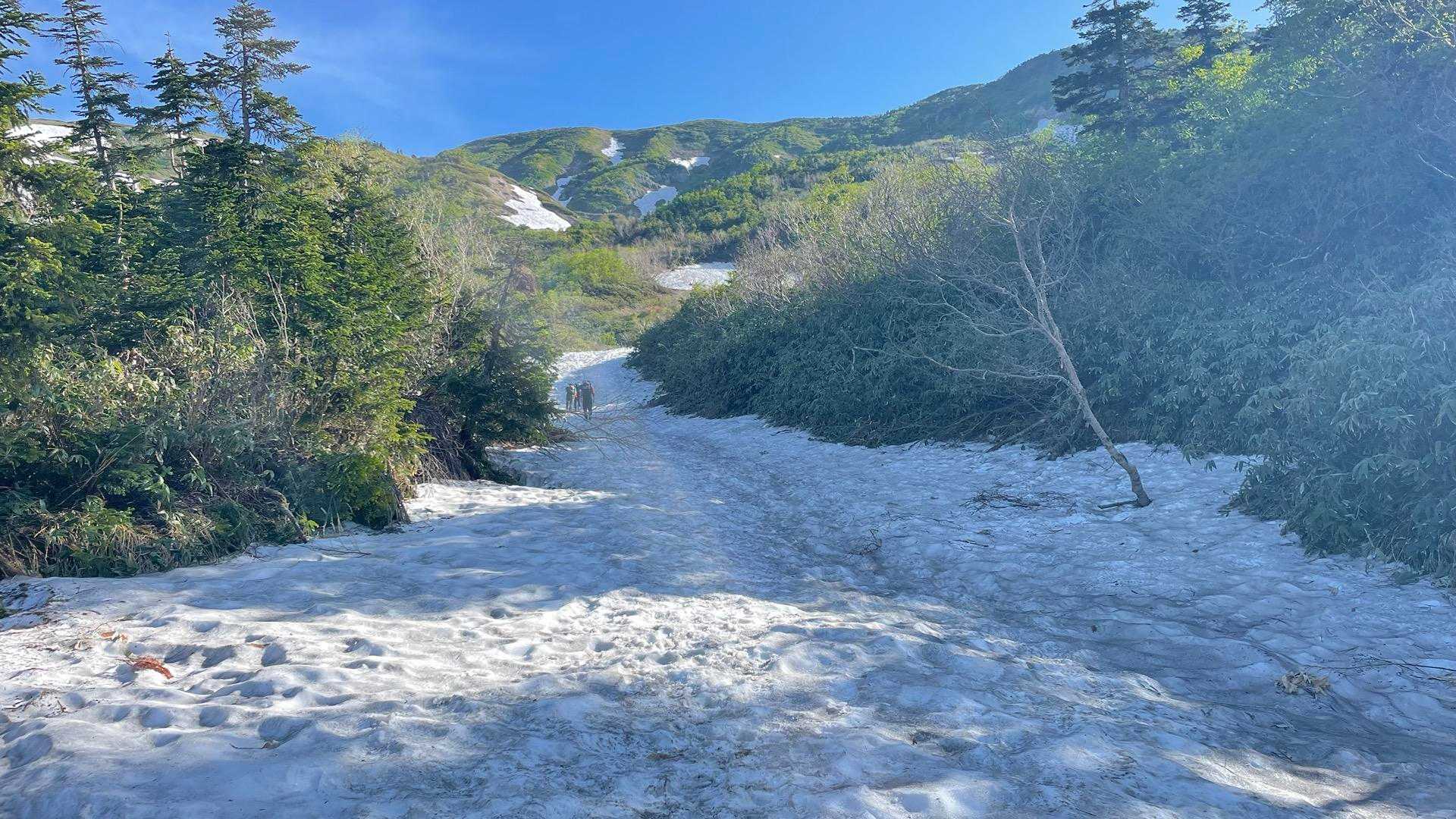 ここら辺から雪