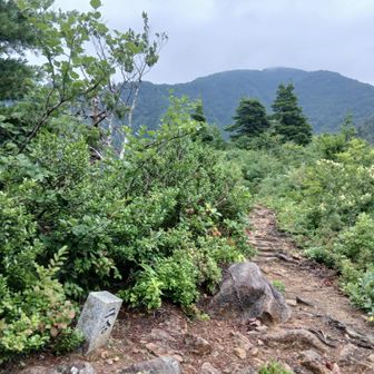 二合目から日向山方面を振り返る
