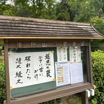 縫えるんですねー