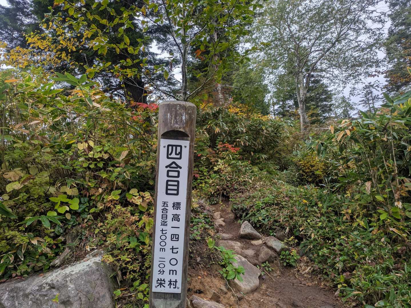 小赤沢コース | 池塘が点在する日本有数の高層湿原が広がる山頂へ、最短で登るの写真