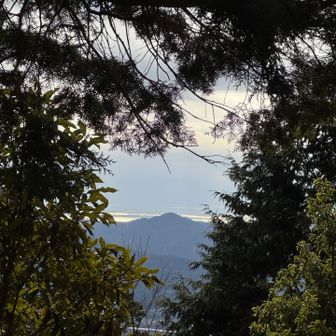 赤い鳥居⛩️まで、浜名湖方面からの陽の光☀️の反射が届いているように感じた✨