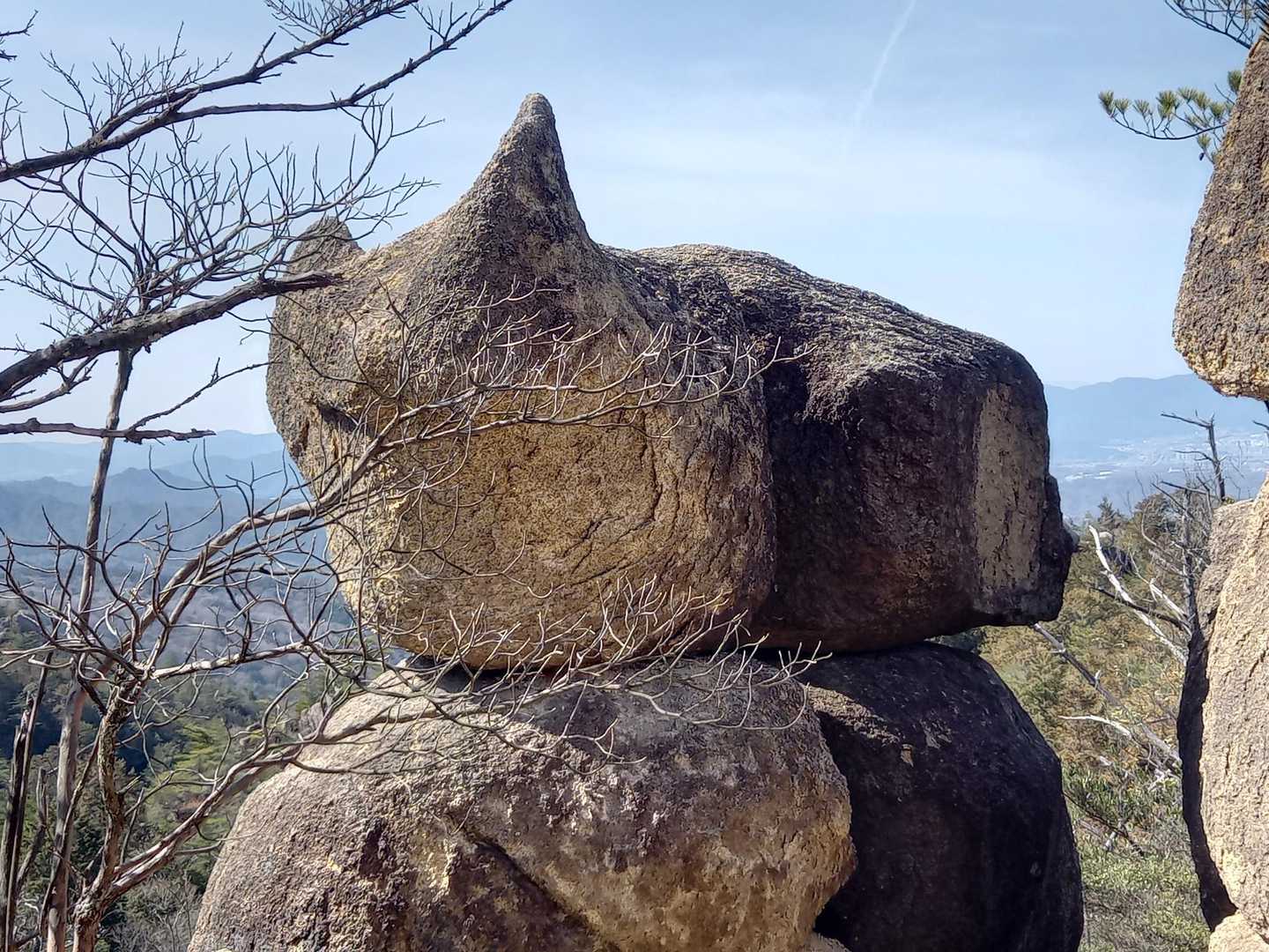 ねこ岩😸に見えませんか❗☺️