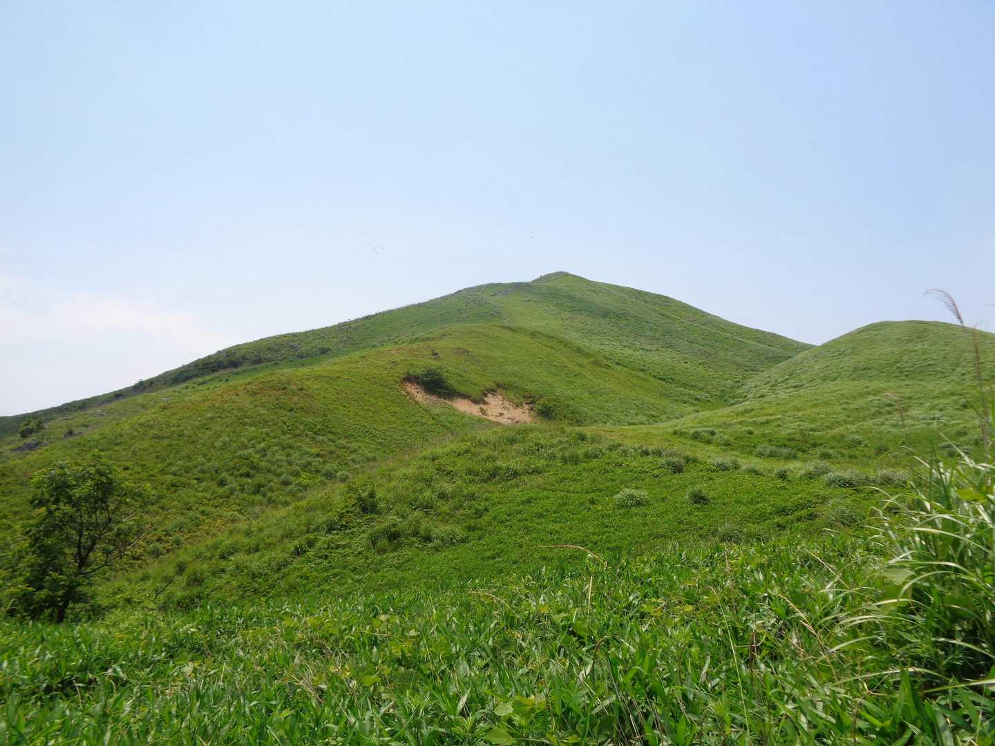 日差しが強く傘をさして歩きました。