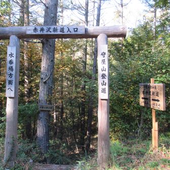 林道に出て、公園の草刈り部隊の軽トラ軍団をやり過ごしながら林道と登山道の分岐へ。
登山道を歩きます