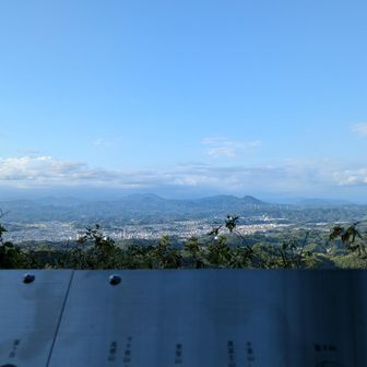 帰りの登山道でマムシだぁと思ったら、尻尾を小刻み震わせて戦闘態勢で威嚇してきてコワ。距離を取ったら行ってくれて良かった。

車で移動してエコパに行くよ〜
