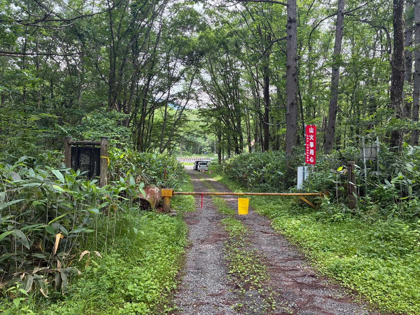 林道が長く・・