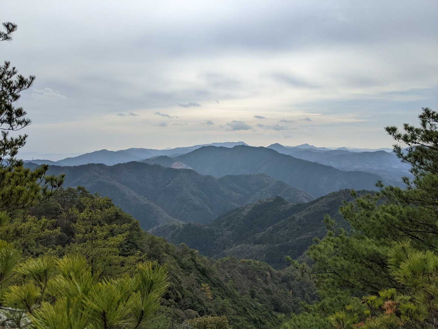 弥山-柏木山 往復コースの写真