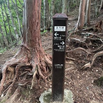 ⬅️稲村ヶ岳3.7km