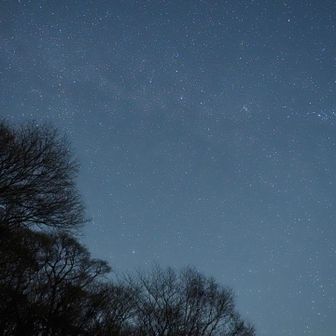 真ん中下の、木の上には北極星🌟

上にはＭの文字のカシオペア座