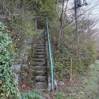 この登山口、標識とか無くて通り過ぎてしまいました。
