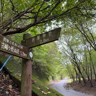 残り2.9kmは車道歩き🥲