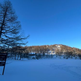 池の平湿原の駐車場
　誰かさんがハート❤️を描いてました