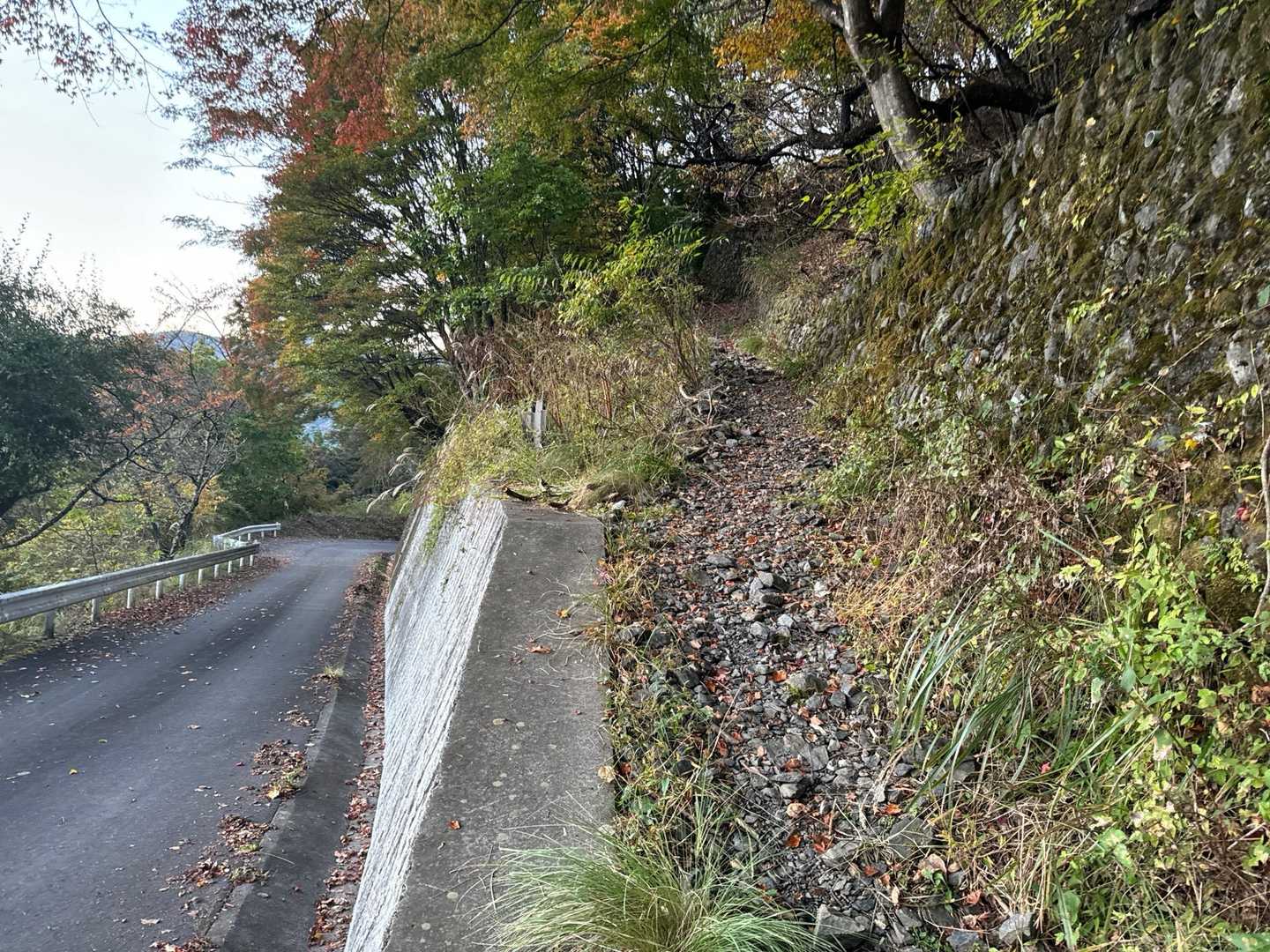 峰谷バス停から林道をかなり登ったところにある奥集落先の登山口。登山口の近くに車を数台停めることができるスペースあり。
公共交通機関利用と比べて標準タイムで片道2時間近くショートカットできます。こりゃズル鷹だね。