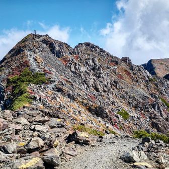 西農鳥岳目指します🎶