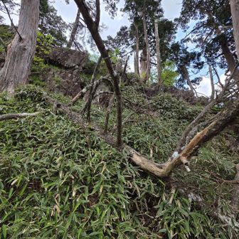 西峰へは鎖もある