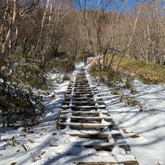 木製の階段に雪❄️、初めてかな？
何だか不安🫨