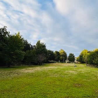 久々に晴れ間が出て、気持ちのよい風が吹いている
新宿区でこの開け具合！
人も少なくて、開放感がすごい