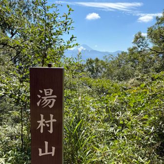 30分もしないで湯村山に着きました⛰️
富士山も見えます🗻