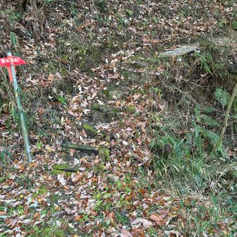 ここから北見岳を目指します