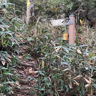 白根山登山口
ぬかるみにハマったり登山道を見失ったり、スタートからヘトヘト😣💦