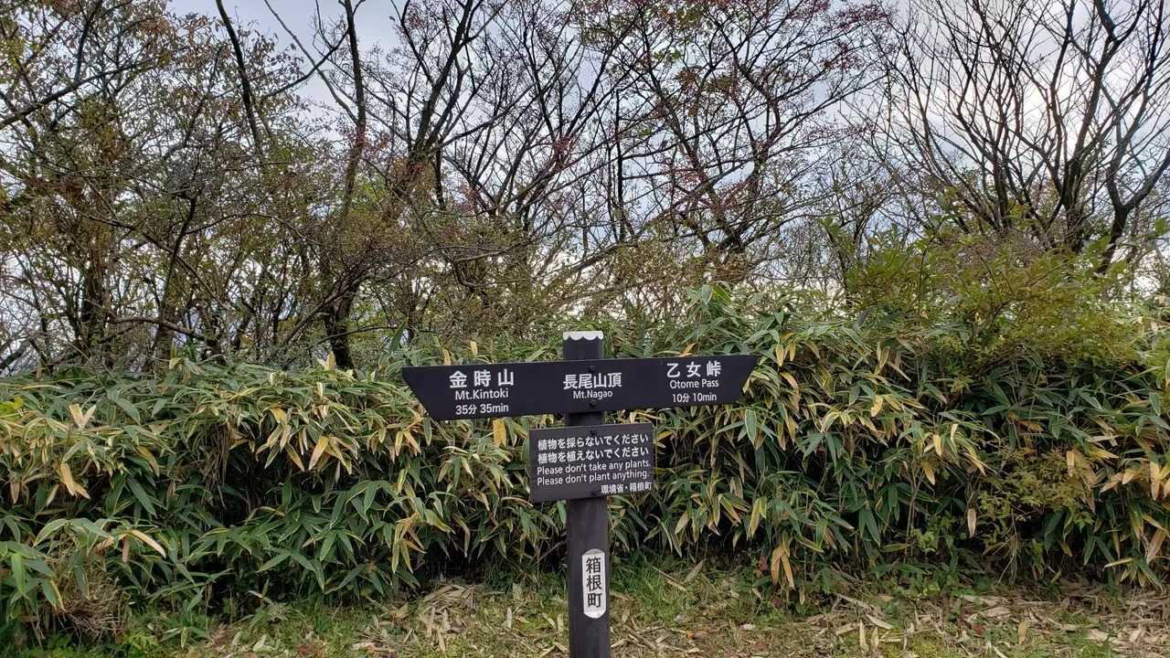 長尾山の写真