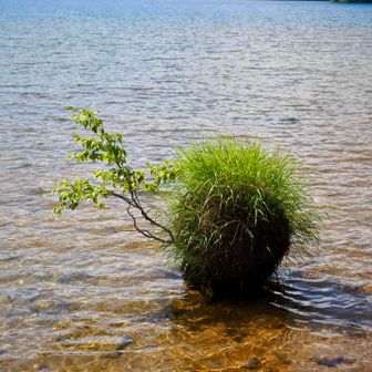 大沼池まで降りてきました〜

写真を撮ることで頭が一杯で、池から離れてから「あの綺麗な水で顔を洗えばよかったのに〜」と後悔した😅

後から知りましたが、顔を洗ったり水を飲めば龍🐉になるという伝説のある場所みたいです😅