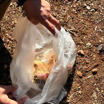 無事下山☝🏻
私はゴミを一つもGET出来ずただただ登山を楽しんだだけでした🤣
ゴミを拾えた職場の子の袋をさも自分が拾ったかの様に撮る🤣