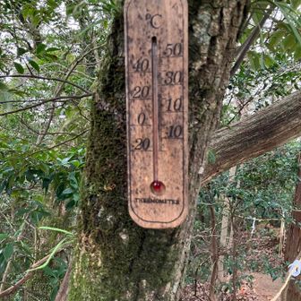 山頂は7-8℃でした。