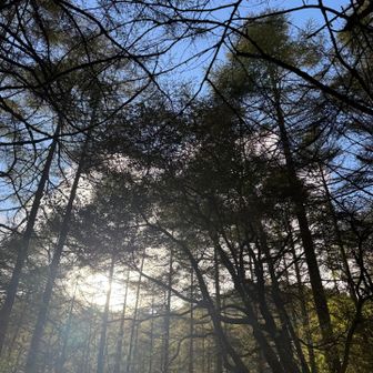 日が暮れる前に下山できた🙌🏻