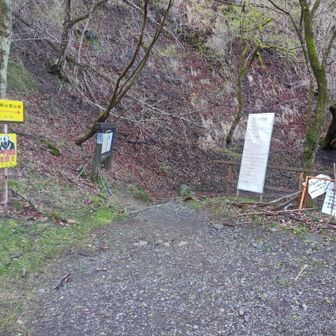 駐車場が心配で早着