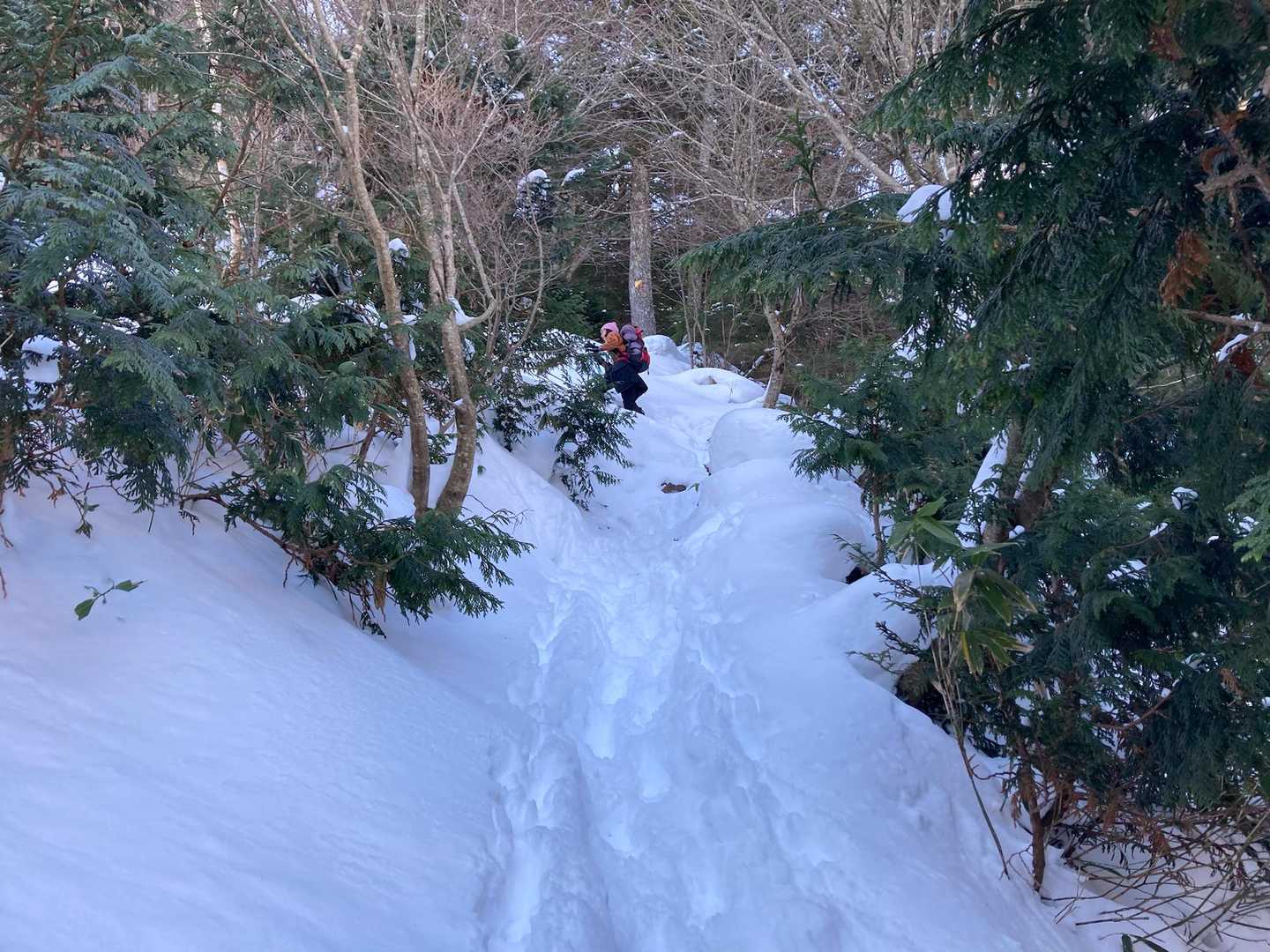 前白根山への急登。
先行者さん発見👀
雪深いからアイゼン付けてないと滑るけどなんとか上がれました