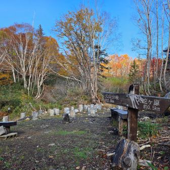 無意根尻小屋跡