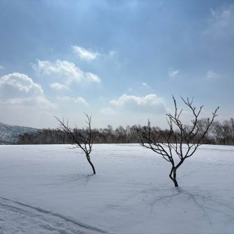 ホロホロ山方面らしい