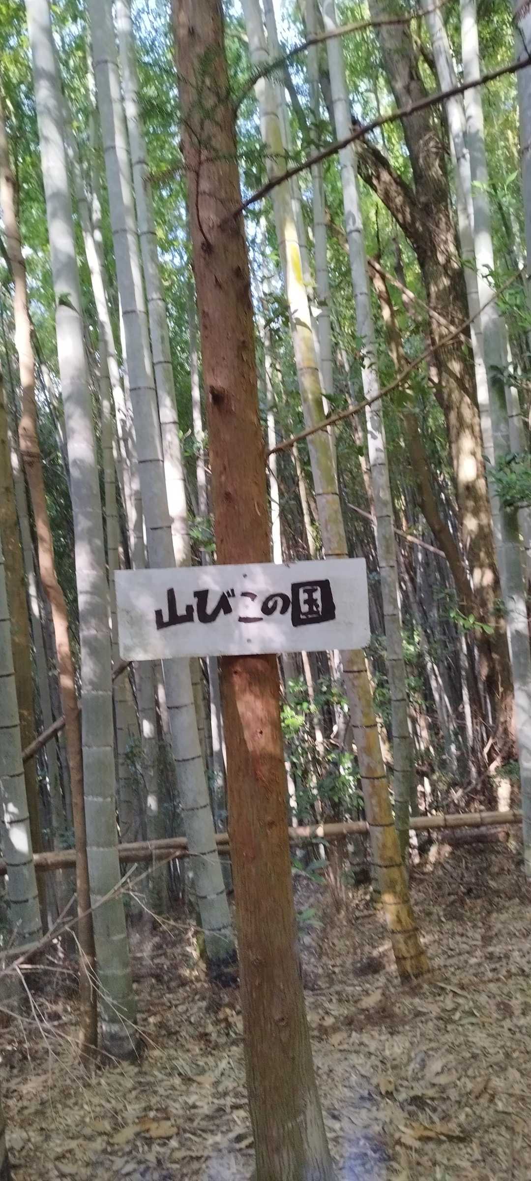 一升ヶ森登山口-一升ヶ森 往復コースの写真