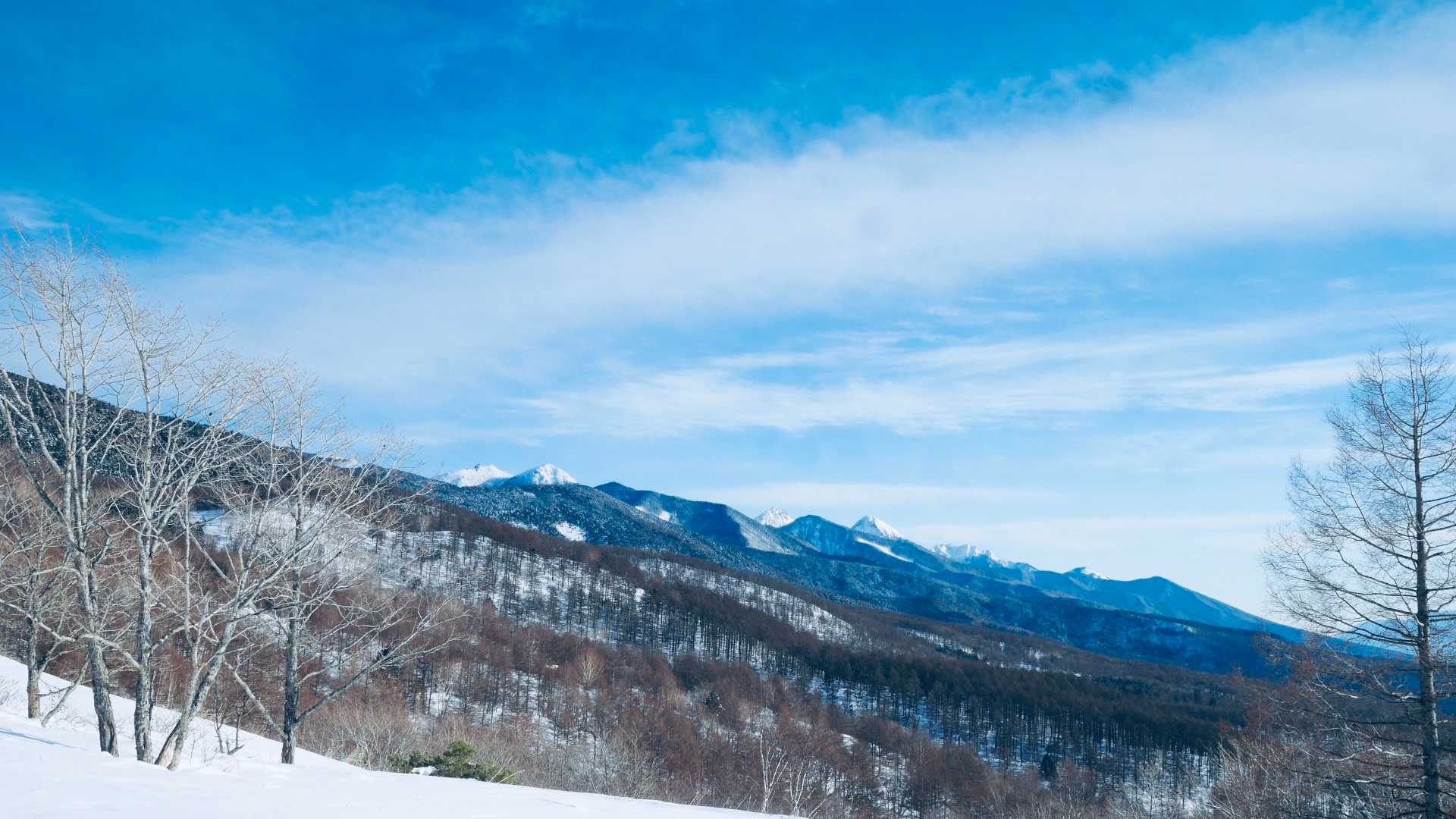 美しい景色が見られて、満足！