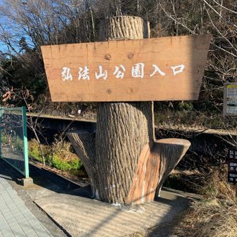 なんだか回数登山になってきた感もありますが、本年もこちらに。