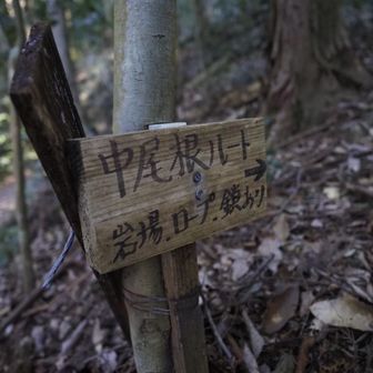 今日は中尾根ルート